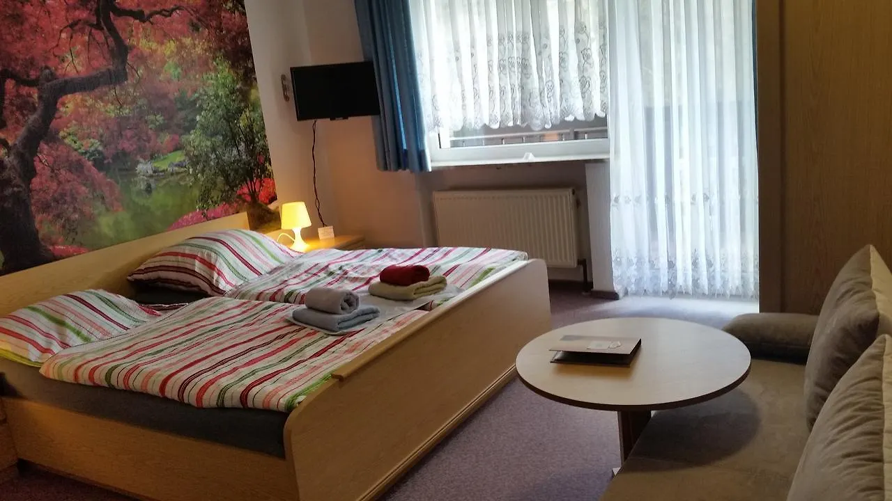酒店 Hotel-Pension Dressel 瓦门施泰纳赫